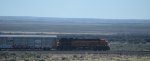 BNSF 3800